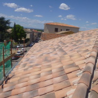 P1000113